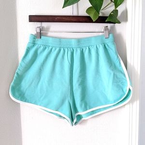 Teal Dolphin Shorts